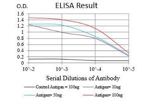 Black line: Control Antigen (100 ng), Purple line: Antigen(10 ng), Blue line: Antigen (50 ng), Red line: Antigen (100 ng), (SYCP3 抗体  (AA 27-128))