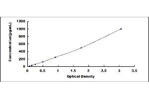 Typical standard curve (Suprabasin ELISA 试剂盒)
