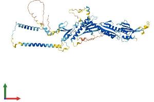 Protein Structure (PS) image for Mediator Complex Subunit 17 (MED17) (AA 1-651) protein (His tag) (ABIN7554557)