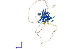 Protein Structure (PS) image for Par-6 Partitioning Defective 6 Homolog beta (PARD6B) (AA 1-372) protein (His tag) (ABIN7550575)