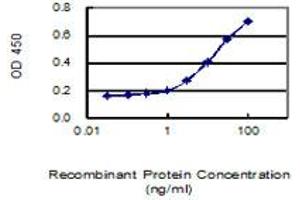 Detection limit for recombinant GST tagged SPZ1 is 1 ng/ml as a capture antibody. (SPZ1 抗体  (AA 1-430))