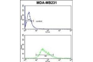 Flow Cytometry (FACS) image for anti-Cytochrome P450, Family 21, Subfamily A, Polypeptide 2 (CYP21A2) (AA 216-246) antibody (ABIN652409)