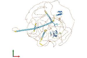 AlphaFold protein structure predicition of Mouse Recombinant Acin1 Protein, UniprotID Q9JIX8