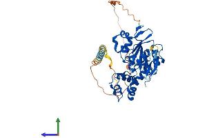 AlphaFold protein structure predicition of Human Recombinant HS3ST2 Protein, UniprotID Q9Y278