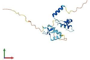 Protein Structure (PS) image for SAP30-Like (SAP30L) (AA 1-183) protein (His tag) (ABIN7546149)