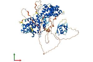 AlphaFold protein structure predicition of Mouse Recombinant Rgl2 Protein, UniprotID Q61193
