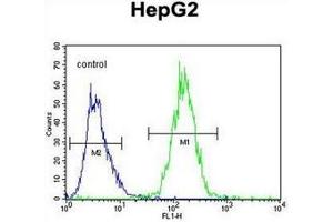 Flow cytometric analysis of HepG2 cells using RDH13 Antibody  (right histogram) compared to a negative control cell (left histogram). (RDH13 抗体  (Middle Region))