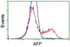 HEK293T cells transfected with either RC206622 overexpress plasmid (Red) or empty vector control plasmid (Blue) were immunostained by anti-AFP antibody (ABIN2452709), and then analyzed by flow cytometry. (alpha Fetoprotein 抗体)