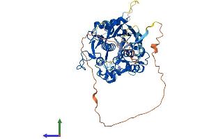 Protein Structure (PS) image for Adenosine Deaminase, tRNA-Specific 1 (ADAT1) (AA 1-502) protein (His tag) (ABIN7551980)