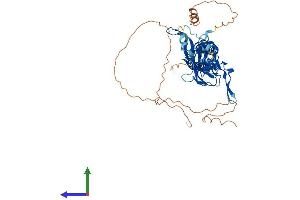 Protein Structure (PS) image for Potassium Inwardly-Rectifying Channel, Subfamily J, Member 3 (KCNJ3) (AA 1-501) protein (His tag) (ABIN7556652)