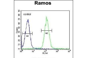 MG Antibody (C-term) (ABIN655333 and ABIN2844900) flow cytometric analysis of Ramos cells (right histogram) compared to a negative control cell (left histogram). (PRR22 抗体  (C-Term))