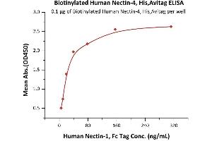 ELISA image for Poliovirus Receptor-Related 4 (PVRL4) (AA 32-349) (Active) protein (His tag,AVI tag,Biotin) (ABIN6938938)