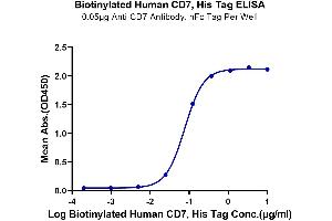 ELISA image for CD7 (CD7) (AA 26-180) protein (His-Avi Tag,Biotin) (ABIN7274232)