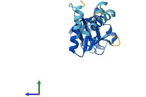 Protein Structure (PS) image for Gem (Nuclear Organelle) Associated Protein 6 (GEMIN6) (AA 1-166) protein (His tag) (ABIN7560702)