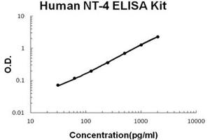 Human NT-4 PicoKine ELISA Kit standard curve