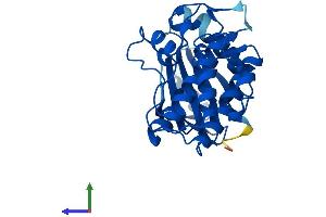 Protein Structure (PS) image for Testis-Specific Serine Kinase 6 (TSSK6) (AA 1-273) protein (His tag) (ABIN7544930)