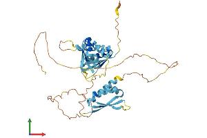 Protein Structure (PS) image for Poly(rC) Binding Protein 4 (PCBP4) (AA 1-403) protein (His tag) (ABIN7550635)