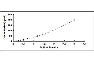 Typical standard curve (COL4a5 ELISA 试剂盒)