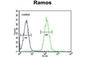 MGC24975 Antibody (C-term) flow cytometric analysis of Ramos cells (right histogram) compared to a negative control cell (left histogram). (PRR22 抗体  (C-Term))