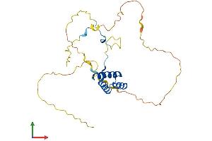 AlphaFold protein structure predicition of Human Recombinant HOXD4 Protein, UniprotID P09016