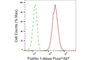 Flow cytometric analysis of Flotillin 1 expression in HepG2 cells using Flotillin 1 antibody (ABIN7798631), 1:2,000). (Recombinant Flotillin 1 抗体)