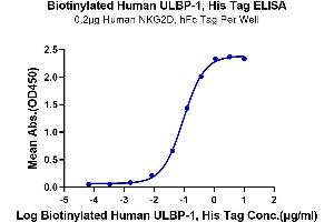 UL16 Binding Protein 1 (ULBP1) (AA 26-215) protein (His-Avi Tag,Biotin)