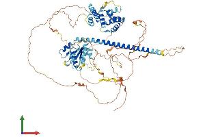 AlphaFold protein structure predicition of Human Recombinant TICAM1 Protein, UniprotID Q8IUC6
