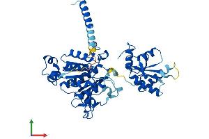Protein Structure (PS) image for Molybdenum Cofactor Synthesis 3 (MOCS3) (AA 1-460) protein (His tag) (ABIN7554598)