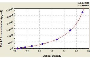 Typical Standard Curve (TJP1 ELISA 试剂盒)