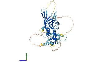 Protein Structure (PS) image for F-Box Protein 9 (FBXO9) (AA 1-447) protein (His tag) (ABIN7553918)