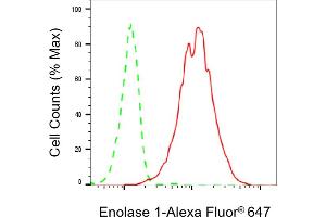 Flow cytometric analysis of Enolase 1 expression in HepG2 cells using Enolase 1 antibody (ABIN7798448), 1:2,000). (Recombinant ENO1 抗体)