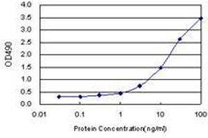 STK33 (Human) Matched Antibody Pair
