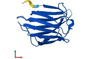 Protein Structure (PS) image for Galectin 7 (LGALS7) (AA 1-136) protein (His tag) (ABIN7562459)