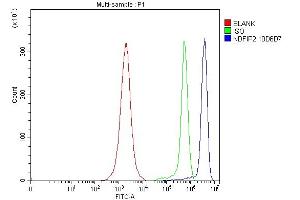 anti-Nedd4 Family Interacting Protein 2 (NDFIP2) (AA 16-336) antibody
