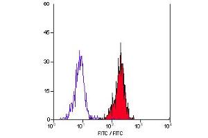 Staining of human peripheral blood monocytes with Mouse anti Human CD55 (ABIN118737). (CD55 抗体)