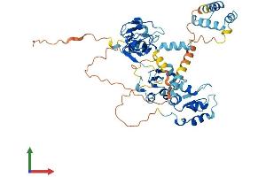 AlphaFold protein structure predicition of Human Recombinant XIAP Protein, UniprotID P98170