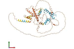 Protein Structure (PS) image for Zinc Finger Protein 238 (ZNF238) (AA 1-522) protein (His tag) (ABIN7556142)