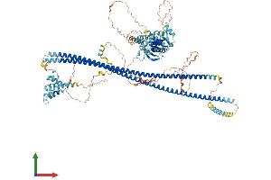 Protein Structure (PS) image for Caspase Recruitment Domain Family, Member 10 (CARD10) (AA 1-1021) protein (His tag) (ABIN7563470)