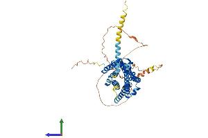 Protein Structure (PS) image for Complement Component 3a Receptor 1 (C3AR1) (AA 1-477) protein (His tag) (ABIN7562243)