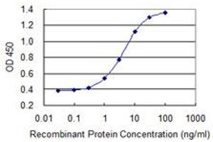 Detection limit for recombinant GST tagged MYOZ1 is 0. (Myozenin 1 抗体  (AA 200-298))