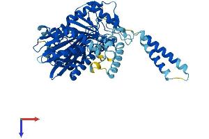 SACM1L Protein (AA 1-587) (His tag)
