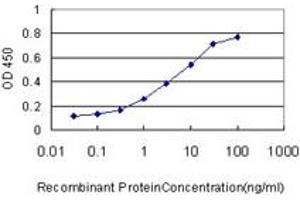 Detection limit for recombinant GST tagged CASP1 is approximately 0. (Caspase 1 抗体  (AA 1-100))