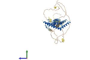 Protein Structure (PS) image for Occludin (OCLN) (AA 1-521) protein (His tag) (ABIN7557671)