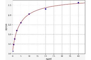 Typical standard curve (N-MID Osteocalcin ELISA 试剂盒)