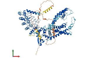 Protein Structure (PS) image for Transient Receptor Potential Cation Channel, Subfamily V, Member 6 (TRPV6) (AA 1-765) protein (His tag) (ABIN7555832)