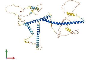 AlphaFold protein structure predicition of Mouse Recombinant Tfeb Protein, UniprotID Q9R210