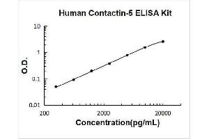 Contactin 5 (CNTN5) ELISA Kit