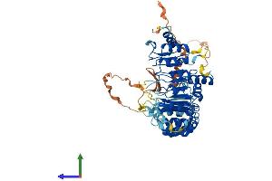 AlphaFold protein structure predicition of Human Recombinant FBXL6 Protein, UniprotID Q8N531