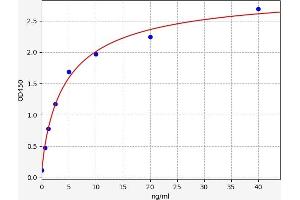 Defensin, beta 126 (DEFB126) ELISA Kit