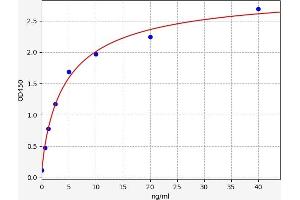Typical standard curve (DEFB126 ELISA 试剂盒)